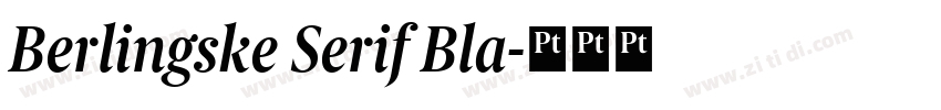 Berlingske Serif Bla字体转换